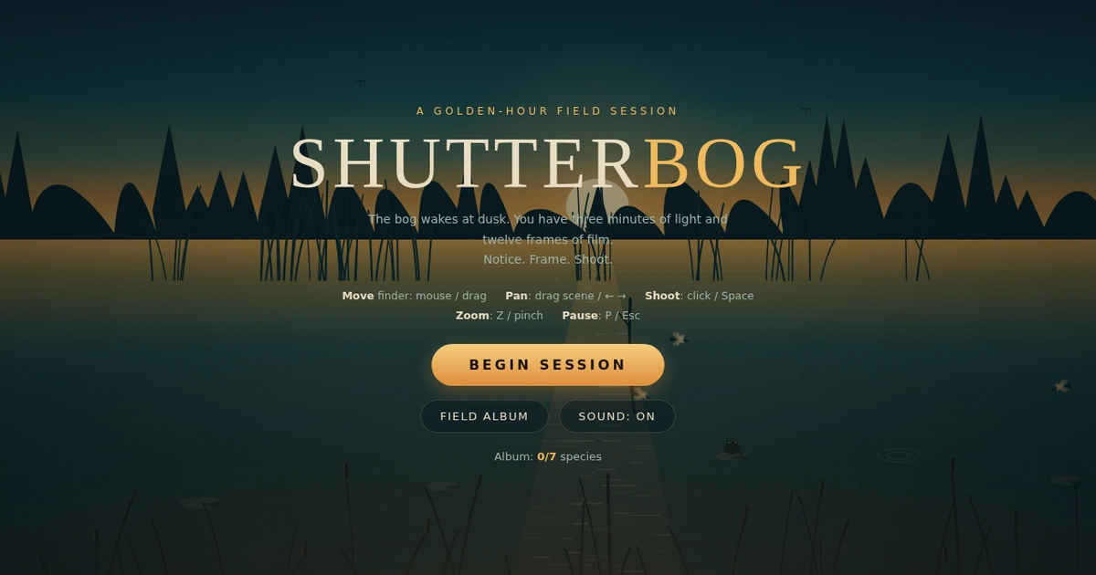 Shutterbog — twilight bog photo safari, golden light through mist and reeds